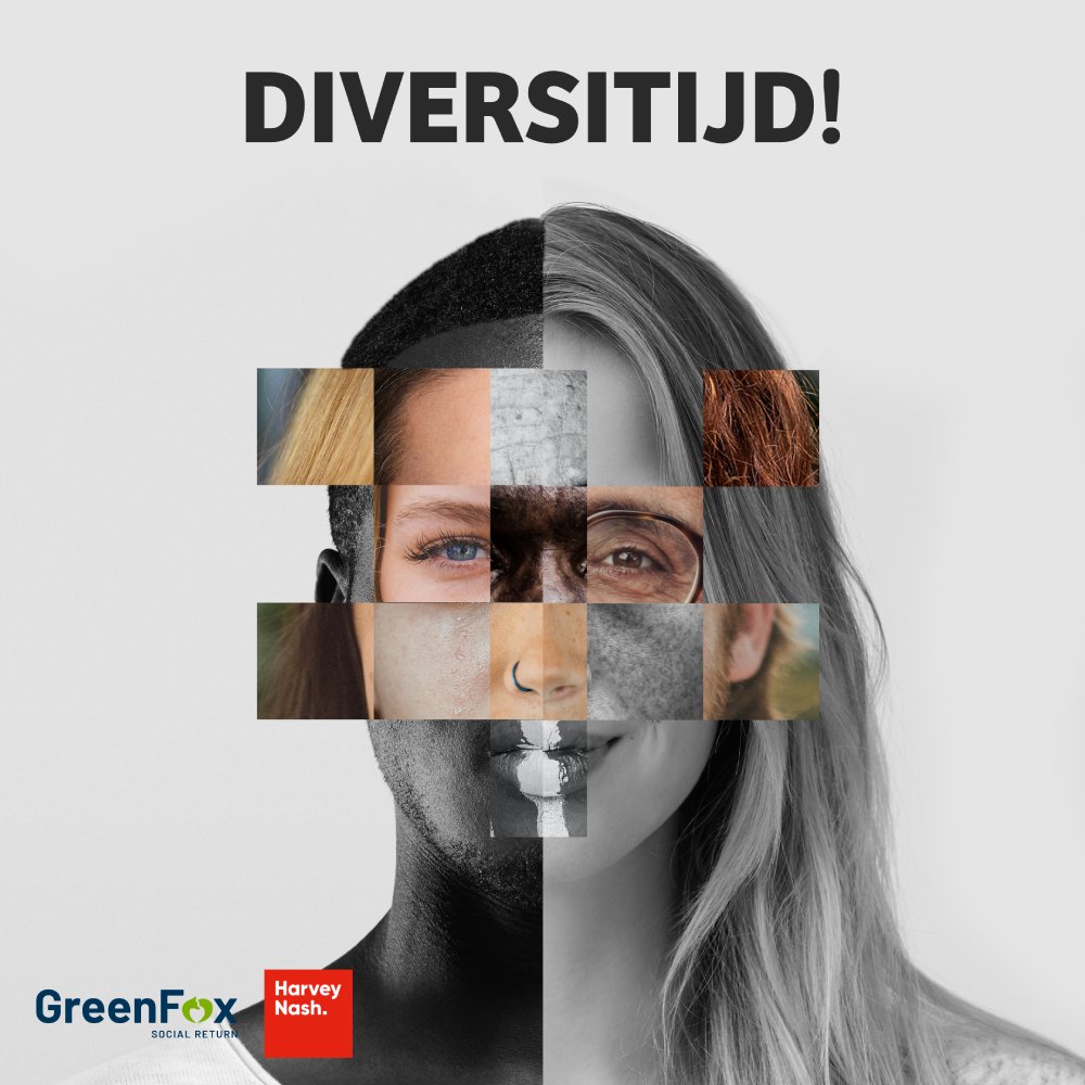 Diversitijd logo